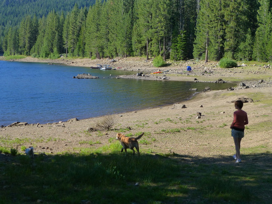 Jackson Meadows Reservoir 2 PureSynchronicity