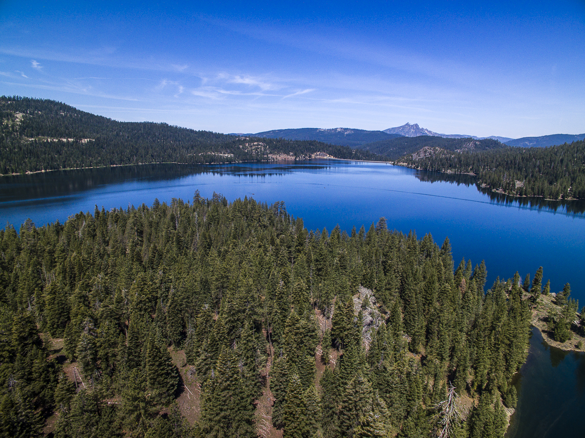 Jackson Meadows/Pass Creek 1 June, 2016 PureSynchronicity